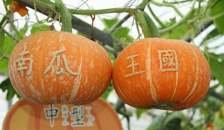 Nghi Lan Đài Loan với những địa điểm check-in tuyệt đẹp