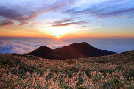 Núi yangming – Nơi trời đất giao thoa ở Đài Loan