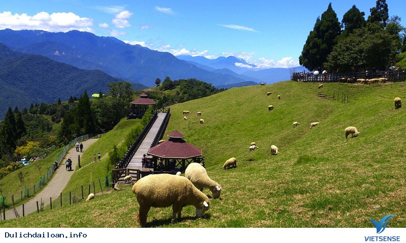 Cingjing Farm- Một Thụy Sĩ Thu Nhỏ Giữa Lòng Đài Loan - Ảnh 1 Cingjing Farm- Một Thụy Sĩ Thu Nhỏ Giữa Lòng Đài Loan - Ảnh 1
