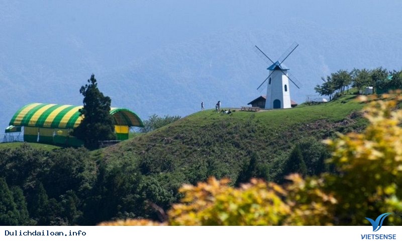 Cingjing Farm- Một Thụy Sĩ Thu Nhỏ Giữa Lòng Đài Loan - Ảnh 3 Cingjing Farm- Một Thụy Sĩ Thu Nhỏ Giữa Lòng Đài Loan - Ảnh 3