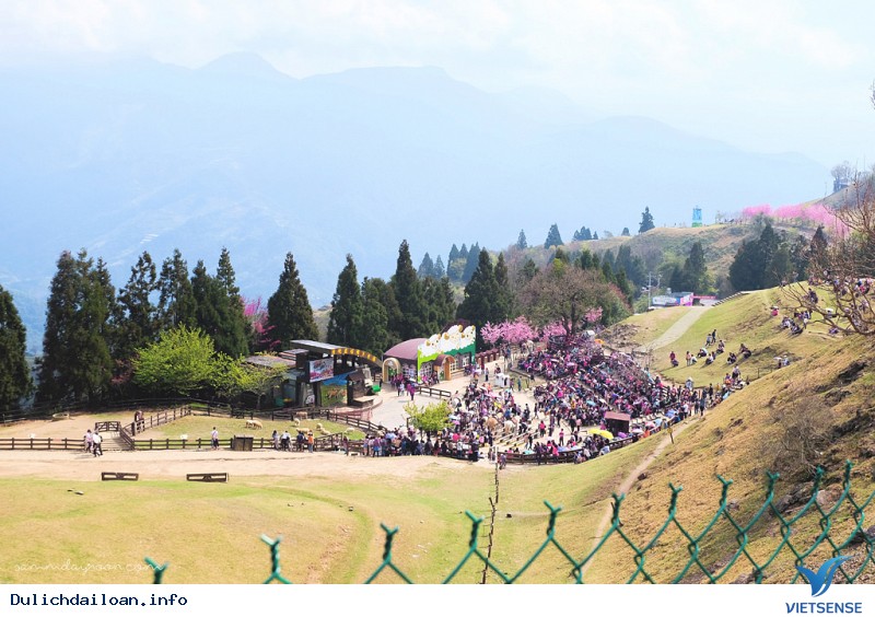 Cingjing Farm- Một Thụy Sĩ Thu Nhỏ Giữa Lòng Đài Loan - Ảnh 2 Cingjing Farm- Một Thụy Sĩ Thu Nhỏ Giữa Lòng Đài Loan - Ảnh 2
