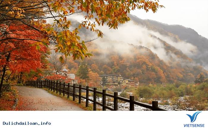 Vi Vu Đài Loan Mùa Nào Đẹp Nhất Trong Năm - Ảnh 5