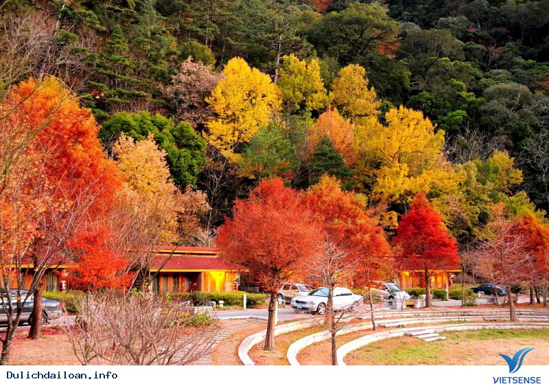 Vi Vu Đài Loan Mùa Nào Đẹp Nhất Trong Năm - Ảnh 6