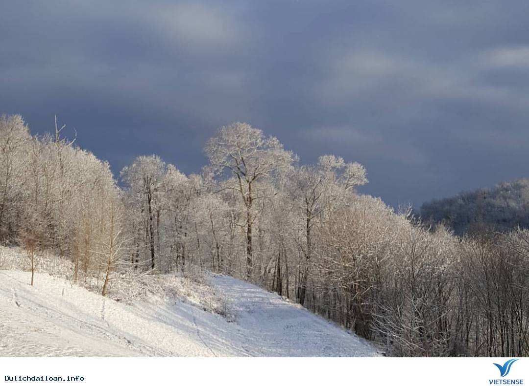 Mùa đông ở Đài Loan Mùa đông ở Đài Loan
