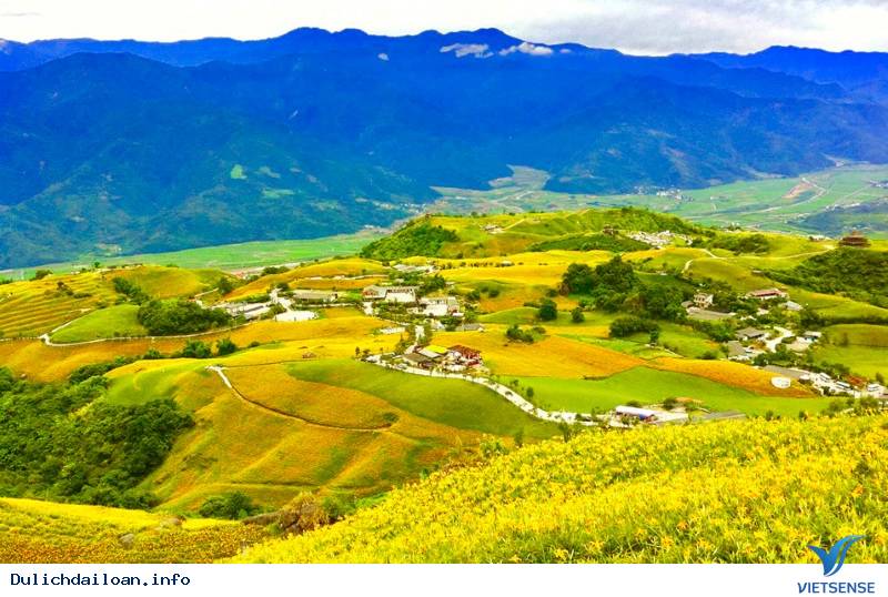 Hoa Kim Châm tại Đài Loan - Ảnh 7 Hoa Kim Châm tại Đài Loan - Ảnh 7