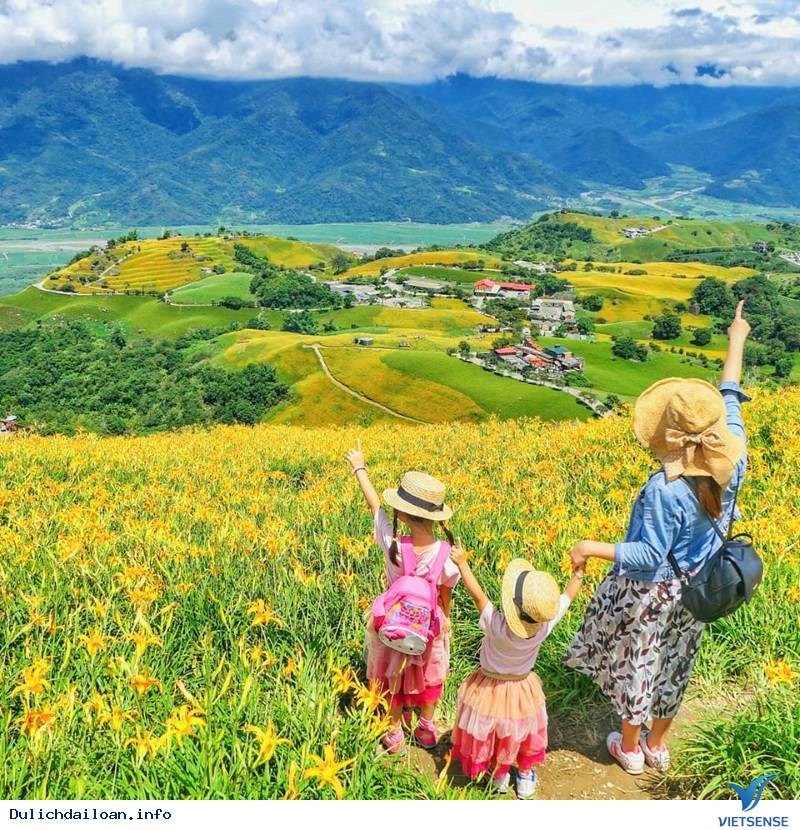 Hoa Kim Châm tại Đài Loan - Ảnh 8 Hoa Kim Châm tại Đài Loan - Ảnh 8