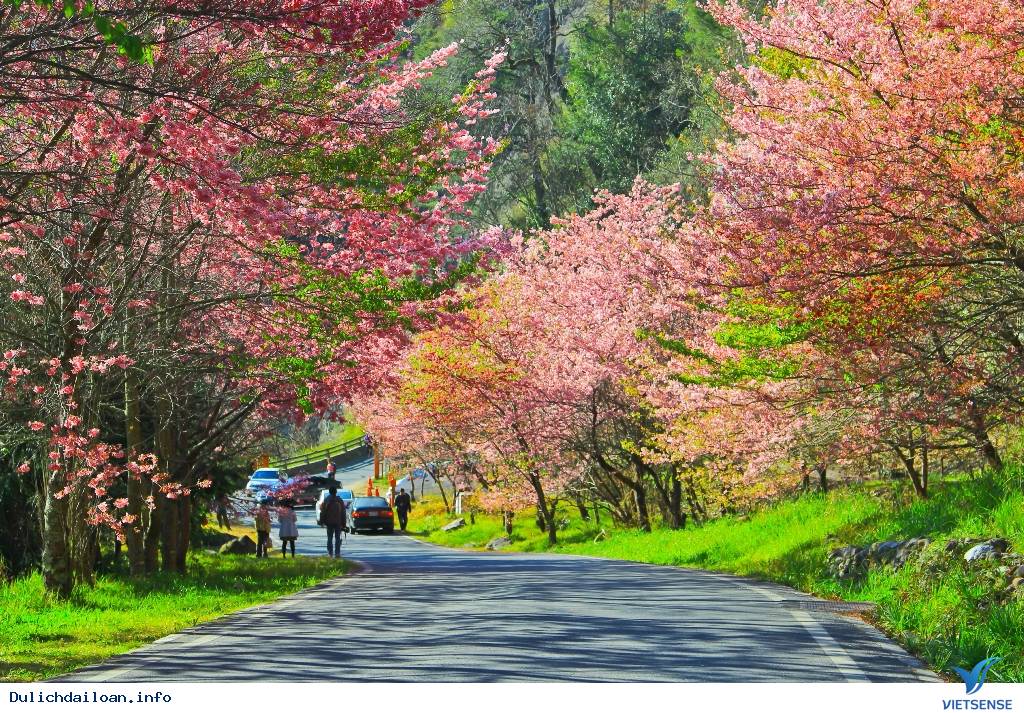 Những địa điểm chụp ảnh cưới đẹp tuyệt vời ở Đài Loan - Ảnh 1