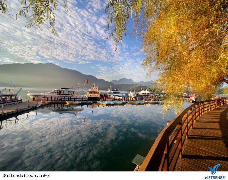 Vi Vu Đài Loan Mùa Nào Đẹp Nhất Trong Năm - Ảnh 3