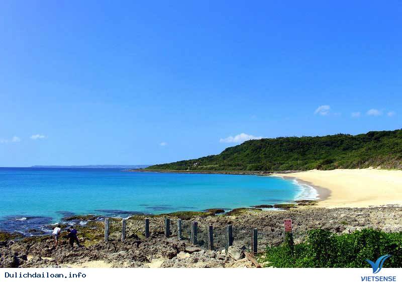 Vi Vu Đài Loan Mùa Nào Đẹp Nhất Trong Năm - Ảnh 4